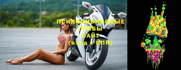 крисы Сосновый Бор