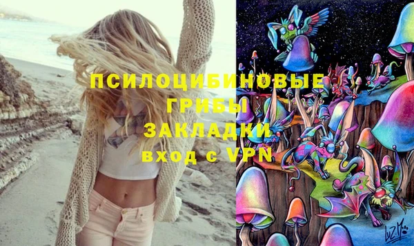 mdpv Сосновоборск