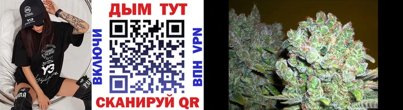 Купить  Урус-Мартан  Канабис марихуана 